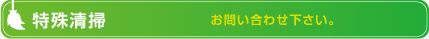 特殊清掃